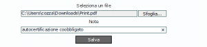 File:300px-Inserimento documenti allegato.png
