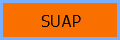Button Suap small border.png