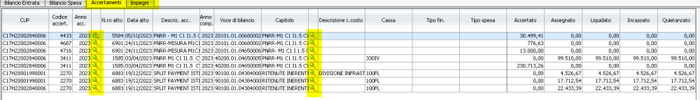 Consultazione budget per CUP