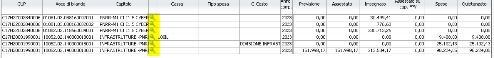 Consultazione budget per CUP